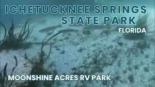 Camping Moonshine Acres RV Park & Ichetucknee Springs State Park Fort White Florida