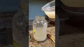 How To Feed Old Fashion Starter