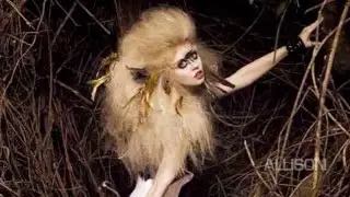 ANTM Cycle 12: Where they are now...