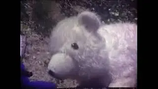 Stuffed Animal Story