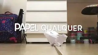 ASMR pisando em coisas