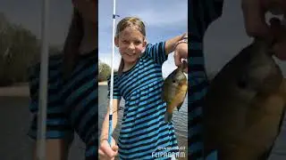 2017 fishing