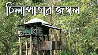 Chilapata Forest | Chilapata Jungle Safari | Dooars Tour