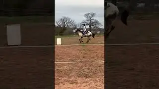 Full Run - Yes, my dad didnt catch the entire fall :( #barrelracing #tiktok #edit #viral #fyp