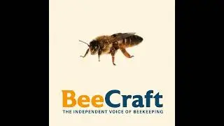 The BeeCraft Podcast January