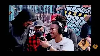 dachi officielle z1000💥