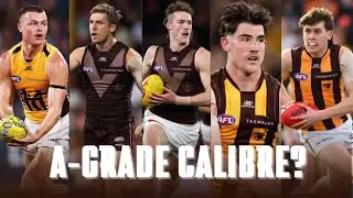 GRADING every HAWTHORN player! Who is really A-GRADE WORTHY?