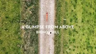 Dog Walk at Bignor Hill, West Sussex on the South Downs