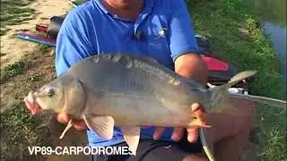 Carpodromes