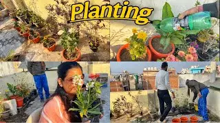 When you are bored, do gardening,you will not know boredom 🌱🍁