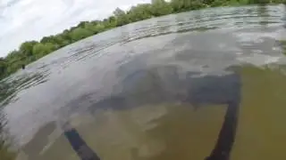 Braxted Res 2017 Gilly lands a whopper
