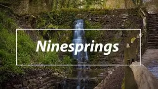 Ninesprings country park Drone - Yeovil Town - 4K