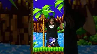 Sonic Green Hill Zone Nerd Smash