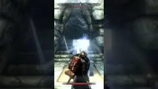 Бой с Потемой в Скайрим на 100% #mrcatgame #skyrim #tes #gaming #games #игры #theelderscrolls #tes5