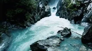 Dynamic Drone Shot, Rain Forrest !