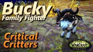 Бакки Критические криты Семейный боец ​​Wacraft Pet Battle