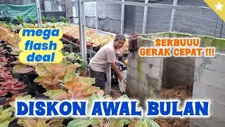AWAL BULAN PENUH PROMO !! CEPAT CEPAT CEPAT !!