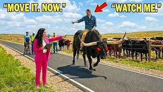 HOA Built a Bike Path Through My Pasture — Completely Ignoring It Was Active Cattle Land