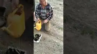 Vecchio veneto bestemmia 2