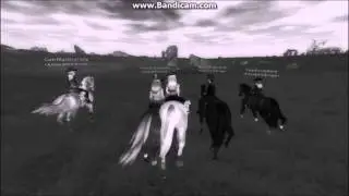 Star Stable Online #Emerald Vikings S&uuml;dhuf