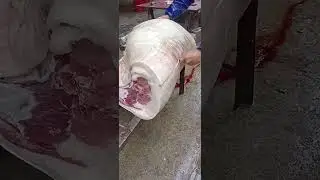 Pig slaughtering #Rural life