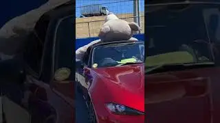 Drift Cars at Calder Park Raceway