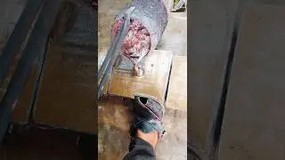 #shotes  Surprising Red-Hot Metal Pour&mdash;Check It Out! #trendingshorts