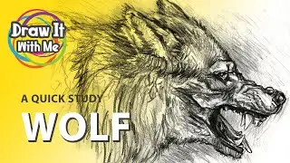 Wolf - A Quick Study | Time-Lapse + Real-Time Drawing