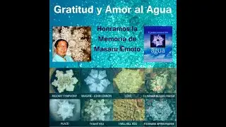 El Experimento del Cristal de Agua de Masaru Emoto