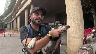 Rustomjee Urbania Vaccination Drive 26th Jan 2026