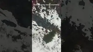 How Do Birds Bathe in Snow?#CanadaNature #WinterBirds