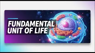 Fundamental Unit of Life 3 | Class 9 Biology | Cell Shape and Size