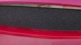 Underground Rim King This is the Hardest Mustang out on 30&rdquo;s