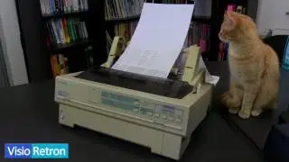 Cute Cat watches Epson LQ 870 dot matrix printer doing its self test