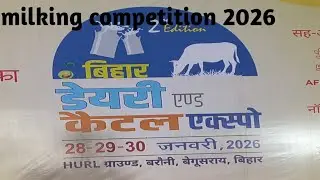 Milking competition on Bihar 28,29,30 