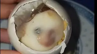 Let me introduce BALUT  please respect #viralvideo #trending #viralshosts