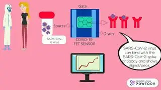 COVID-19 Detection (FET Biosensor)