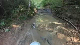 2020 Baby Burr DS Trail 4