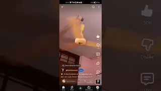 [REVERSE] Spin, Fall, Laugh, Repeat: Funniest Ceiling Fan Moments 🤣😂 #electrodemolish