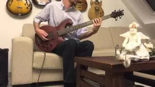 Dean Rhapsody 8 strings baas picking style