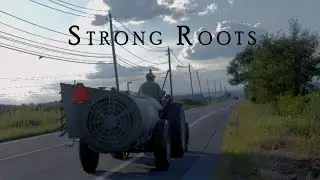 Strong Roots