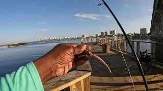 Dunlawton Pier Daytona