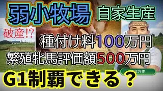 【ウイポ10 2025】最低額の繁殖牝馬と種牡馬でG1級馬を何年で生産できるのか〖弱小牧場の目指せオグリキャップ企画〗