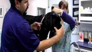 Virtual Tour of Guide Dogs of America