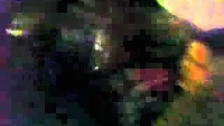 swim6