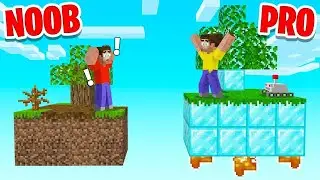 NOOB VS PRO Island Challenge In MINECRAFT SKY BLOCK!