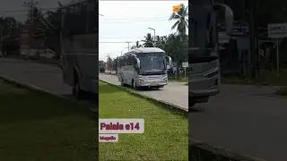Bus Palala e14 