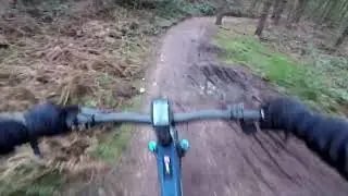Pivot Flow Trail Bliss