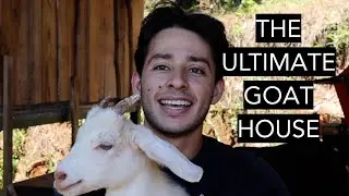 WE BUILT A PUMA PROOF GOAT BARN! - VLOG #7