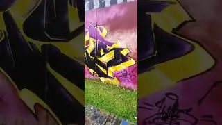 STORAGE KING GI WALL #737 #art #graffiti #nz